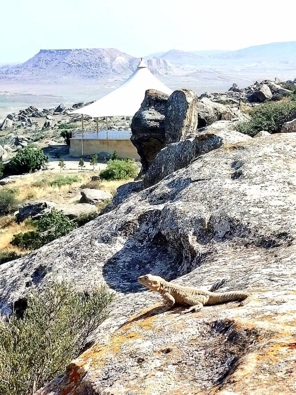 Baku "Black Mountain" Guest House Sangachal Buitenkant foto